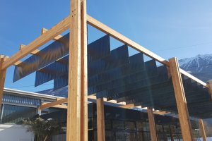 Schattenspender der etwas anderen Art