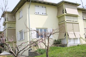 f8e536_e184e212fd9b41c1a6b8687f594df82c