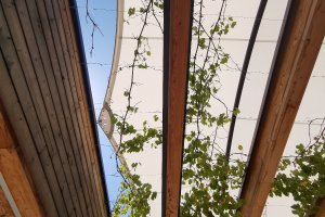 Segel, Terrasse Mila Bozen, 2020